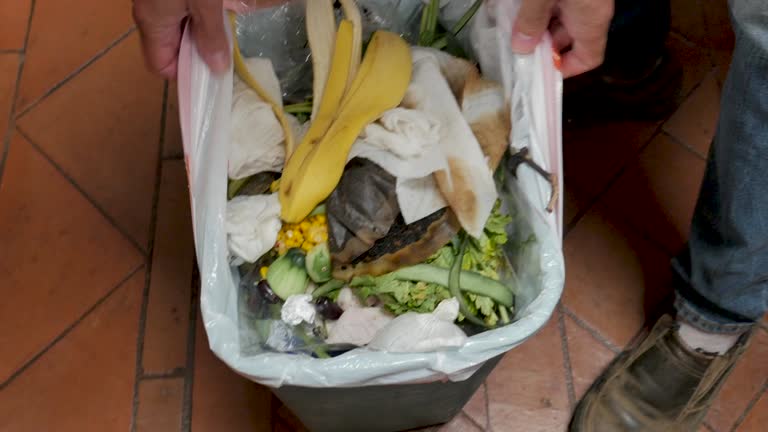 Best Commercial Junk Removal  in Jesup, IA